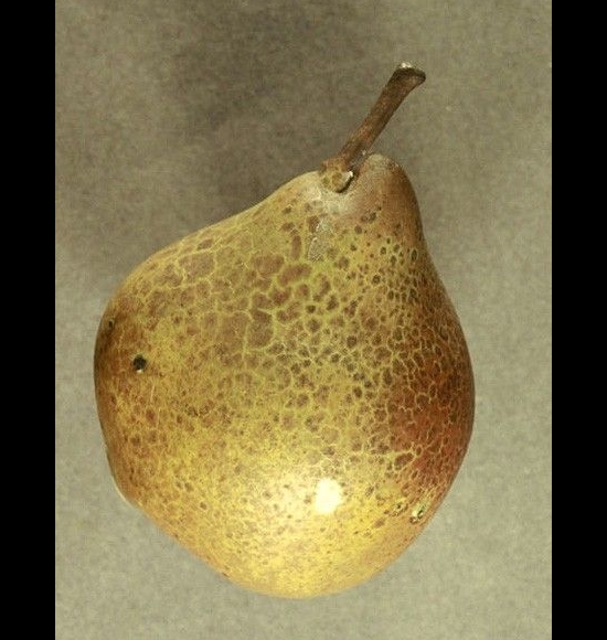 Beurré d Amanlis-2
