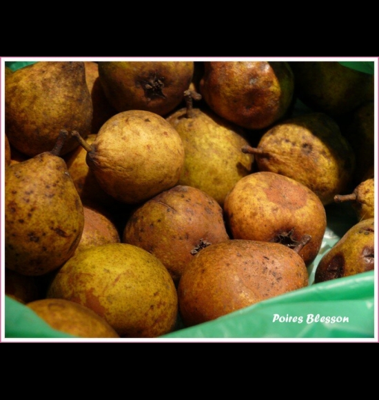 Blesson-2