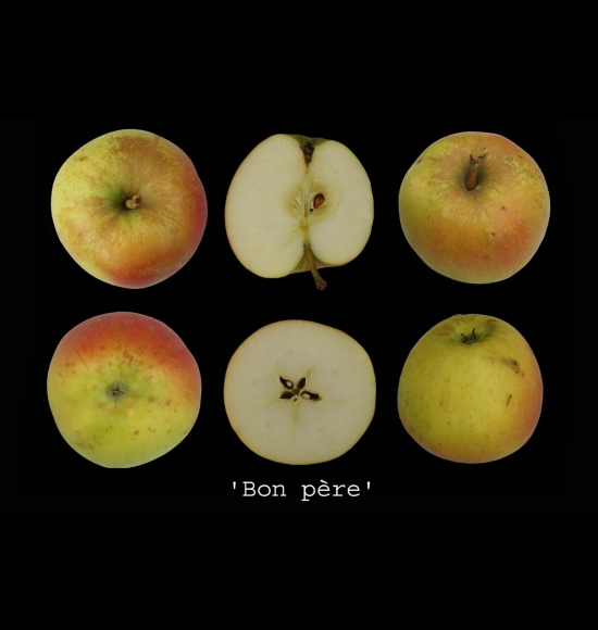 bon père (bis)-2