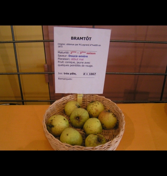 bramtot-2