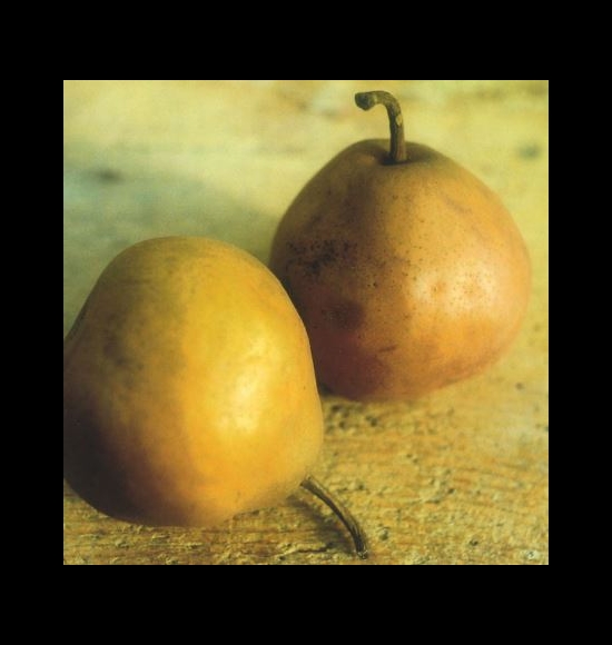 Brutta Buona-2