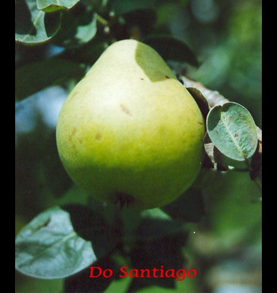 Do Santiago-2
