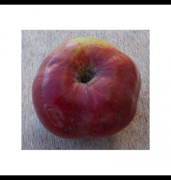 Fraise-2