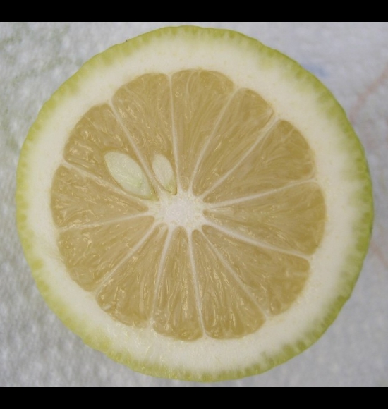 lime douce bisri-2