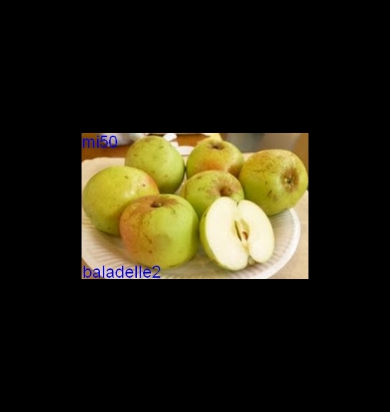 baladelle-2