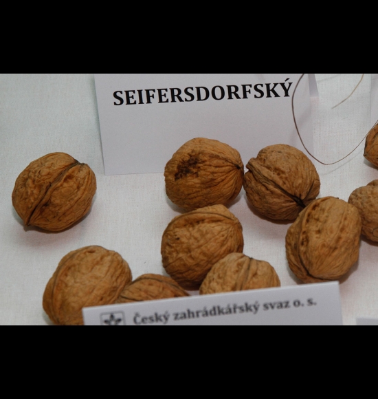 Seifersdorfský-3