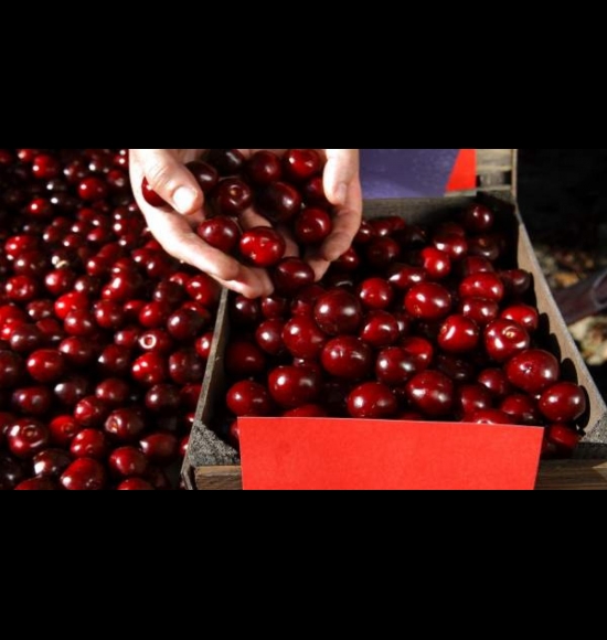 Ambrunés-2